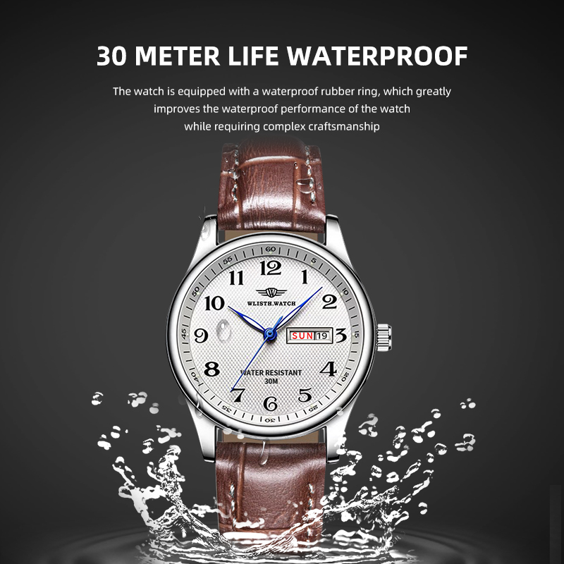 Reloj WLISTH de lujo para homb - Luxury Watch Investment reseña y precio