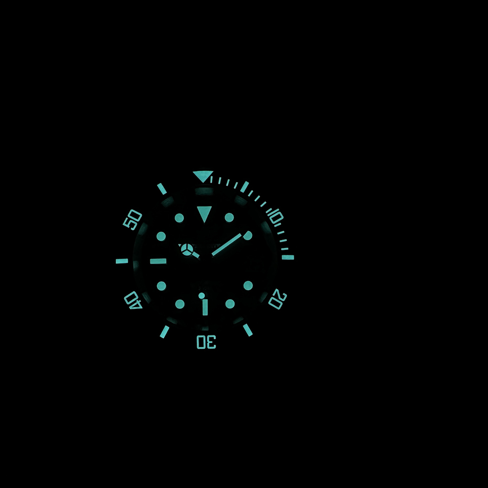 Steeldive nuevo reloj SD1953C  - Diver Watch 300M reseña y precio